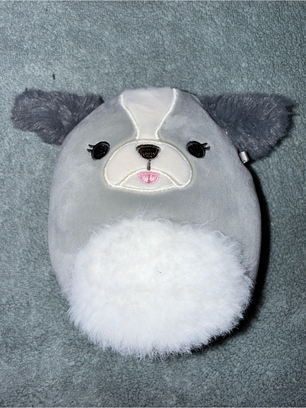Squishmallows 5" Malu the Grey Shih Tzu Dog Fuzzy Ears Plush EUC